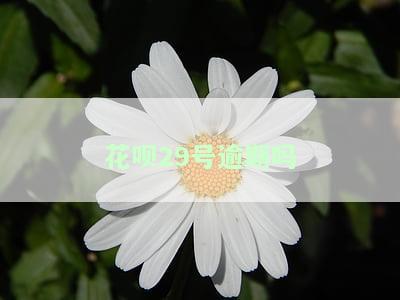 花呗29号逾期会产生什么影响？需要在何时还款？逾期29天后能否继续使用？多久能恢复正常？