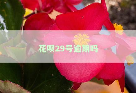 花呗逾期29天后还款，多久能恢复额度、恢复正常及征信？