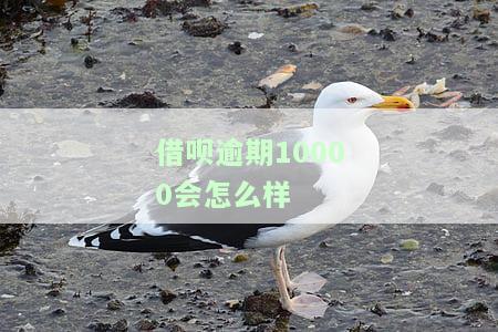 借呗逾期10000会怎么样吗，警惕！借呗逾期10000的后果严重性