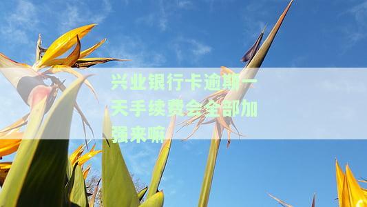 兴业银行逾期一天会否上征信？影响及处理方式解析