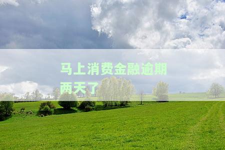 费金融逾期两天了怎么办，解决方法：费金融逾期两天应如何处理？