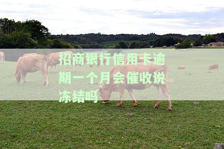 招商银行逾期一个多月会强制停卡吗，逾期一个多月，招商银行是否会强制停卡？