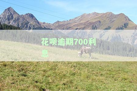 花呗逾期700块：会被起诉、上征信还是需要解决？