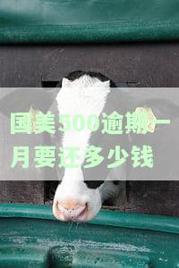 国美500逾期一月要还多少钱-国美逾期几天