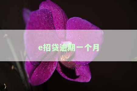 e招贷逾期一个月怎么协商不上征信，如何协商解决'e招贷'逾期一个月不被记录在个人信用报告中？