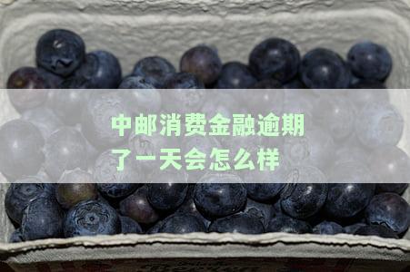 中邮消费金融逾期1天，警惕！中邮消费金融逾期1天会产生哪些影响？