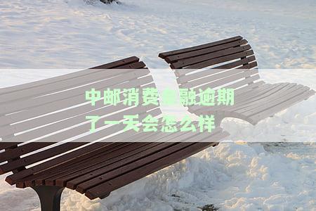 中邮消费金融逾期8天要一次性还完吗，中邮消费金融：逾期8天是否需要一次性还清？