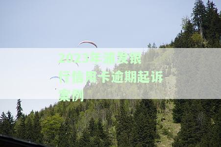 2023年浦发银行信用卡逾期起诉案例分享：概率及视频分析