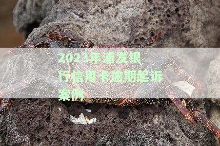 2020年浦发信用卡逾期起诉概率大？详解政策与新法规，预防被诉风险