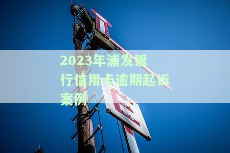 2021年浦发信用卡逾期政策，详解2021年浦发信用卡逾期政策：如何避免罚息和信用记录受损？
