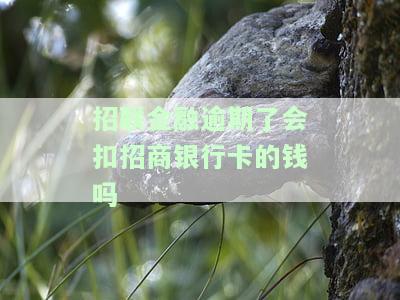 招联金融逾期是否会影响招商银行信用卡及个人征信？