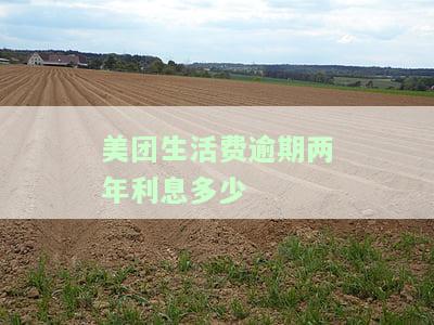 美团生活费二万逾期一年，逾期一年，美团生活费欠款两万元仍未偿还
