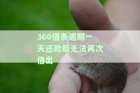 逾期一天为什么就不能还款了，为何逾期一天就不能还款？