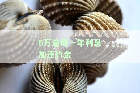 逾期6万一年了：利息、还款金额全解析