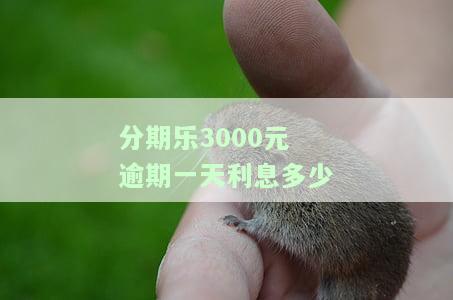 分期乐逾期300天利息2000多算高利贷吗，分期乐逾期300天，2000多元利息是否算高利贷？