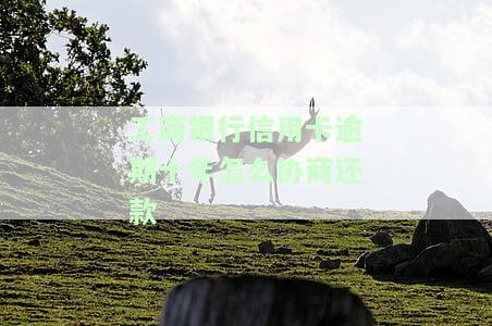 工商银行信用卡逾期十年如何协商还款？详细流程与政策解析