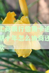 工行信用卡2000逾期十年：应还款、后果及解决办法