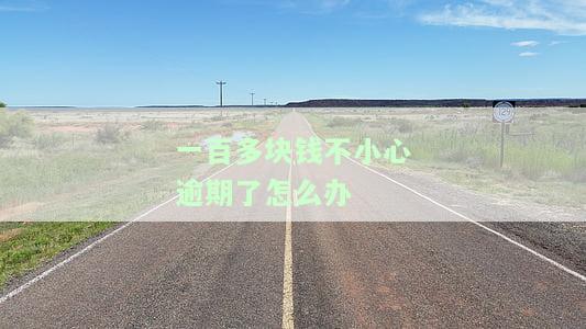 一百多块钱不小心逾期了怎么办-一百多块钱不小心逾期了怎么办呢