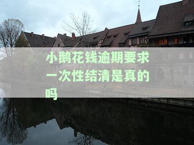 小鹅花钱逾期要求一次性还清：亲身经历与解决方法