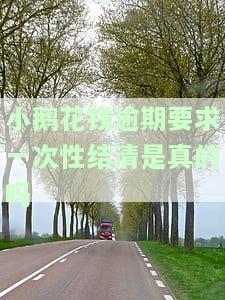 小鹅花钱逾期两次要求全部结清：多次逾期，逾期三天即需还全款，逾期两年亲身经历