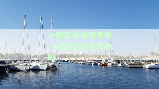 小鹅花钱逾期要求一次性结清是真的吗