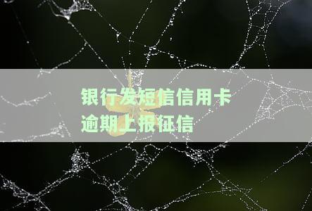 银行发短信信用卡逾期上报征信是真的吗，真相揭示：银行发短信信用卡逾期是否会上报征信？