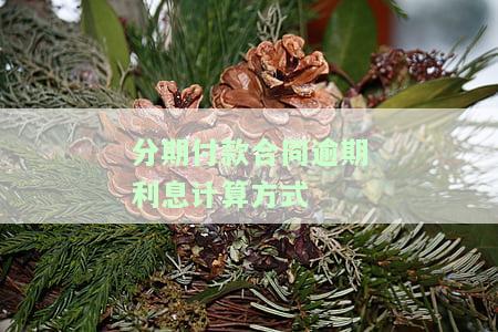 分期付款的逾期利息计算时间，如何计算分期付款的逾期利息？时间节点详解