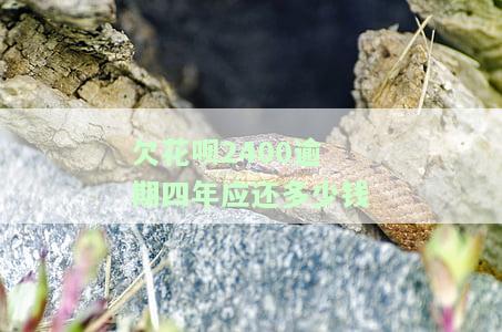 欠花呗2400逾期四年应还多少钱-欠花呗2400逾期四年应还多少钱呢