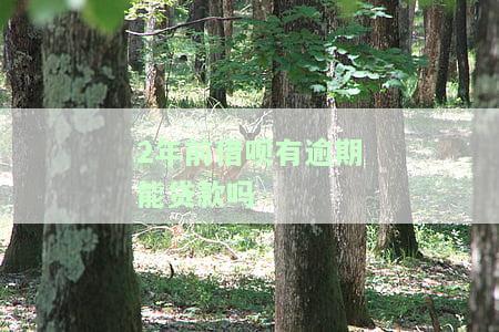 2年前借呗有逾期能贷款吗-2年前借呗有逾期能贷款吗知乎
