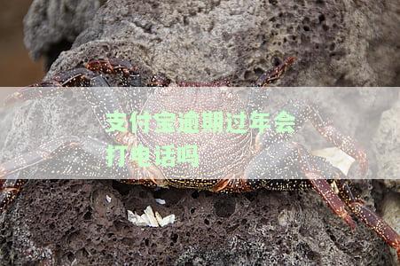 支付宝逾期过年是否会打电话？影响、解决办法与应对策略全解析