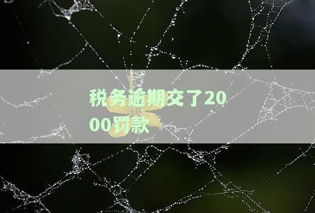 税务逾期交了2000罚款