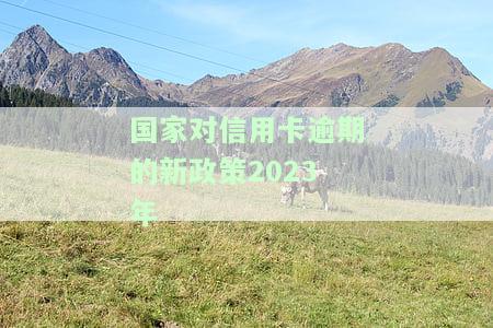 国家对信用卡逾期的新政策2023年文件：解读与规定