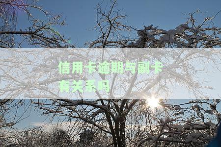 欠信用卡逾期还了会如何影响信用？逾期后能否继续使用信用卡？