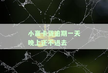 小赢卡贷逾期一天怎么办？影响、后果、上征信及利息解析