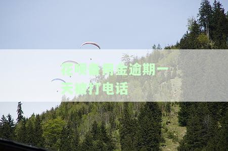 花呗备用金逾期了几天怎么不能用花呗了，花呗备用金逾期后无法使用花呗，该如何解决？