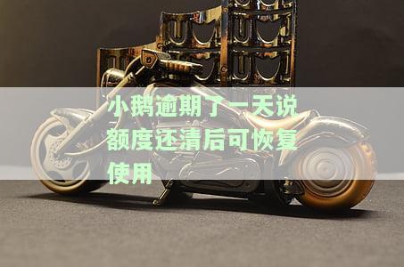 小鹅花钱逾期额度还清后能否再次使用？