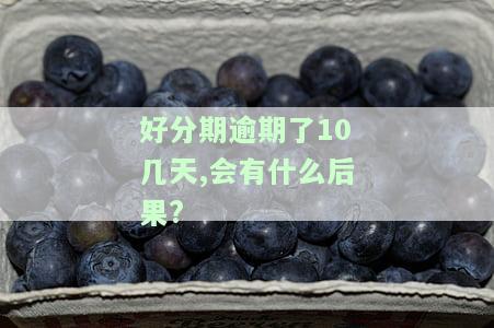 已逾期多日未还，有何后果？能否继续使用？逾期10天以上的影响是什么？