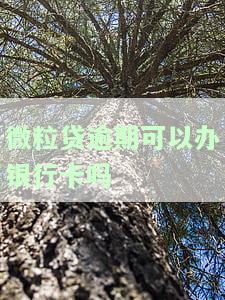 有逾期微粒贷能否开通？影响其他贷款吗？