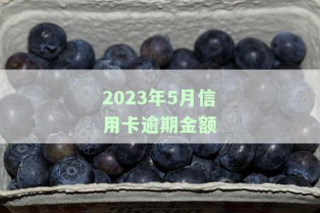 2023年5月信用卡逾期金额是多少，揭示2023年5月信用卡逾期金额：你是否在其中？