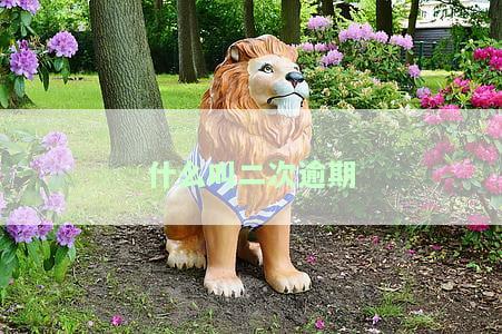 什么叫二次逾期记录？影响及处理方法
