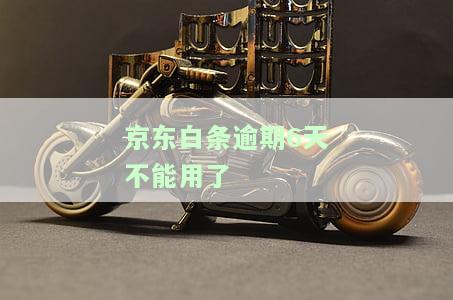 逾期6天不能用了-逾期6天不能用了怎么办