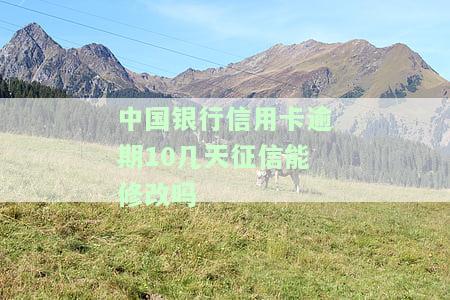 中国银行信用卡逾期10几天征信能修改吗，关于中国银行信用卡逾期问题：能否修改征信记录？