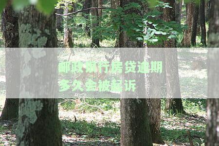 邮政银行房贷逾期多久会被起诉成功？案例分析、上征信时间及应对策略