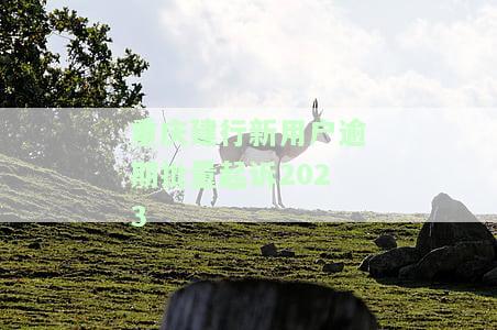 建行逾期多久被起诉，了解建行信用卡逾期：多久会被起诉？