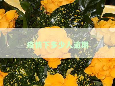 疫情下有多少人逾期，疫情冲击下的逾期人数：揭示经济影响的残酷现实