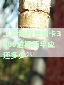欠工行信用卡3000块两年,现在要还多少钱，欠款2年，工行信用卡3000元，现在需要偿还多少？