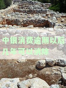 中银消费逾期以后几年可以消除逾期，如何消除中银消费逾期记录？几年后可以自动消除吗？