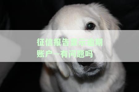 征信报告显示逾期怎么办，如何处理征信报告中的逾期记录？