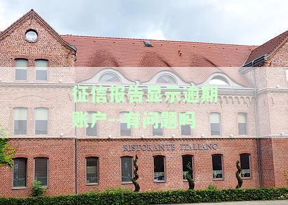 征信报告逾期记录显示，重要提醒：您的征信报告中显示逾期记录，请及时处理！