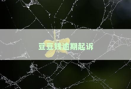 豆豆钱逾期3个月被起诉：逾期后果、是否会上征信？